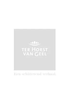 Batida jurk met ruffle-mouwen